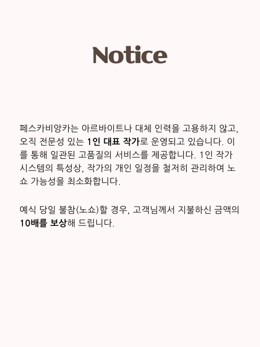 예약 전 안내사항